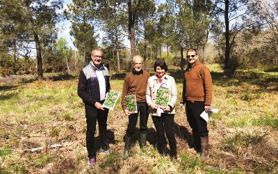 La compensation carbone des travaux du réseau de chaleur de Mérignac